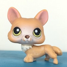 Authentic littlest pet d'occasion  Angers-