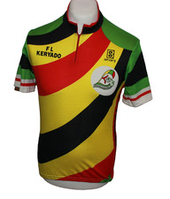 Servary lorient radtrikot gebraucht kaufen  Gronau