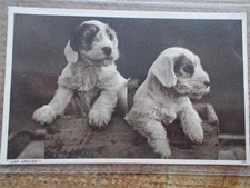 Vtg postcard cute for sale  HULL