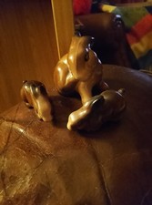 wade rabbit for sale wade rabbit for sale SHREWSBURY