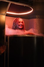 Whole body cryotherapy for sale  Brooklyn