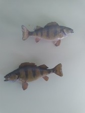 Taxidermy fish mounts for sale  Tomahawk