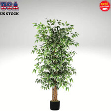 Tall artificial ficus for sale  Denver