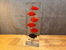 Vintage Grande Prêmio Lucite MAIS CRIATIVO 1989 Peso de Papel PEIXE Troféu Acrílico comprar usado  Enviando para Brazil
