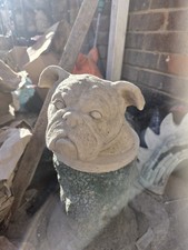 English buldog head for sale  SUNDERLAND