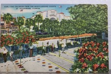 Florida petersburg shuffleboar for sale  Wilmington