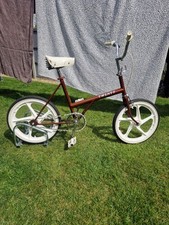Raleigh twenty custom for sale  HULL
