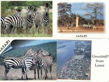 Safari postcards kenya for sale  LISBURN