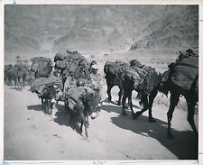 Pakistan 1950 caravane d'occasion  Ballon