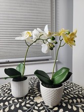 Artificial realistic orchids for sale  Plainville