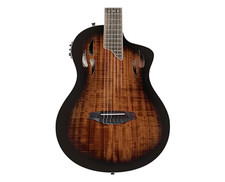 Ortega guitars rtpdlx for sale  Winchester