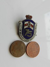 Vintage enamel badge for sale  BRIDGWATER