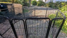 Freigehege 80x80 netz gebraucht kaufen  Nürnberg
