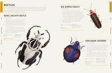 Encyclopedia animals contains for sale  UK