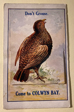 grouse bird for sale grouse bird for sale LLANFAIRFECHAN