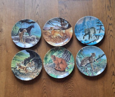 Knowles great cats for sale  SEVENOAKS