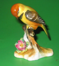 Royal adderley bird for sale  MALVERN