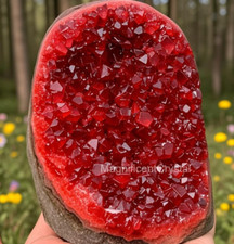 300g large red for sale  Germantown