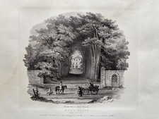 1850 antique print for sale  MARLOW