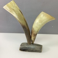 natural horn for sale  WETHERBY