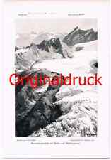 d101 184 Zeno Diemer Braunschweiger Hütte Gletscher Kunstblatt 1906!! na sprzedaż  Wysyłka do Poland