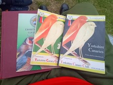Bundle yorkshire canary for sale  RUISLIP