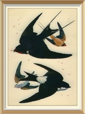 Original c1947 lithograph for sale  CANNOCK