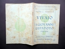 Vivaio giovanni lupatoto usato  Italia
