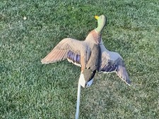 Fully flocked carry for sale  Castro Valley