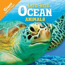 Life size ocean for sale  UK