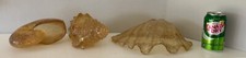 Resin acrylic cast for sale  San Jose