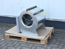 Canarm delhi g15 gebraucht kaufen  Neumünster