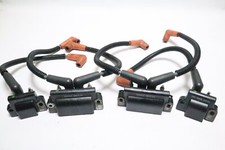 0586533 dual ignition for sale  Lake Placid