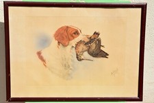 Peintre animalier boris d'occasion  La Ciotat