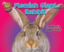 Flemish giant rabbit for sale  Aurora