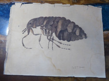 Aquarelle papier peinture d'occasion  Mussidan
