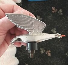 Chrome snipe bird for sale  LONDON