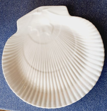 nautilus shell for sale nautilus shell for sale HAVERFORDWEST