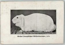 13185465 weisses franzoes gebraucht kaufen  Eimeldingen
