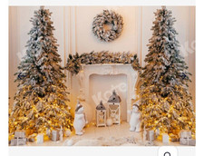 Kate photography christmas for sale  WORCESTER