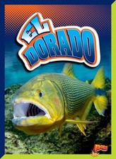 Dorado golden dorado for sale  DERBY