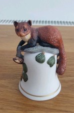 Baby pine marten for sale  WHITCHURCH