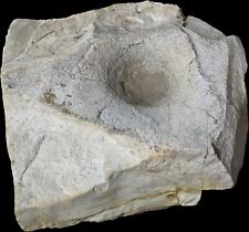 Ancient native american for sale  Lepanto