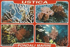 Cartolina ustica fondali usato  Teramo
