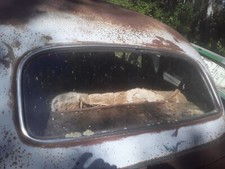 1941 chevy door for sale  Big Rapids