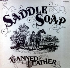 Tanned leather saddle gebraucht kaufen  Kiel