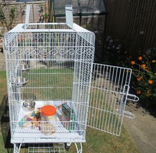 Large white liberta for sale  MILTON KEYNES