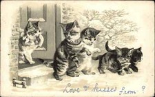 Adorable kittens doorstep for sale  USA