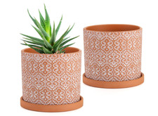 Frcctre pack terracotta for sale  RUGBY