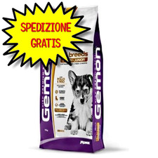 Gemon cane crocchetta usato  San Felice Circeo